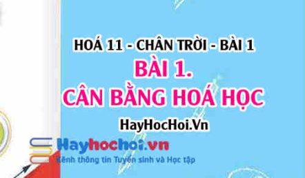 Cân bằng hoá học là gì, hằng số cân bằng của phản ứng và sự dịch chuyển của cân bằng? Hoá 11 chân trời bài 1